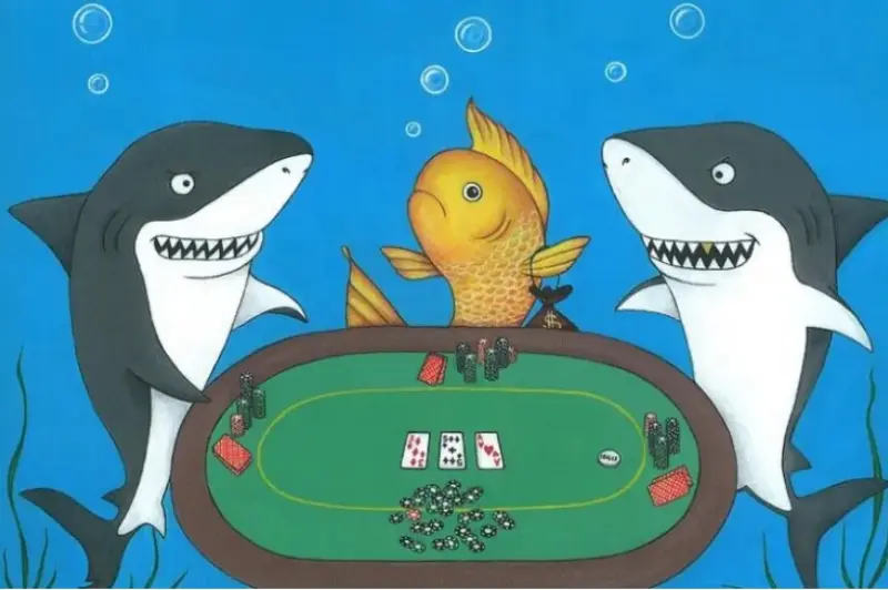 General information about Fish in Poker