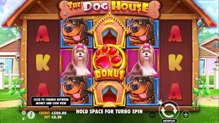 Learn about The Dog House slot game