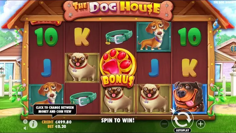 The Dog House Winning Strategy