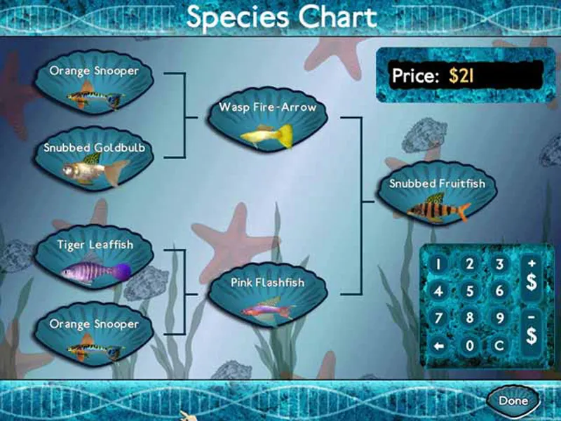 Online Fishing Game Vs. Fishing Slots: Differences 